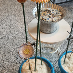garden-flowers-2